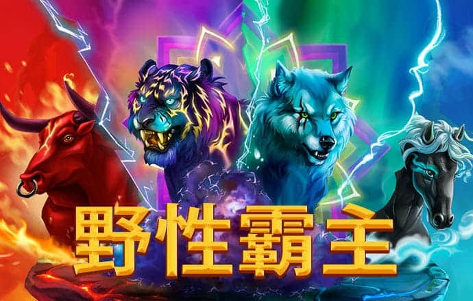 彩皇网APP